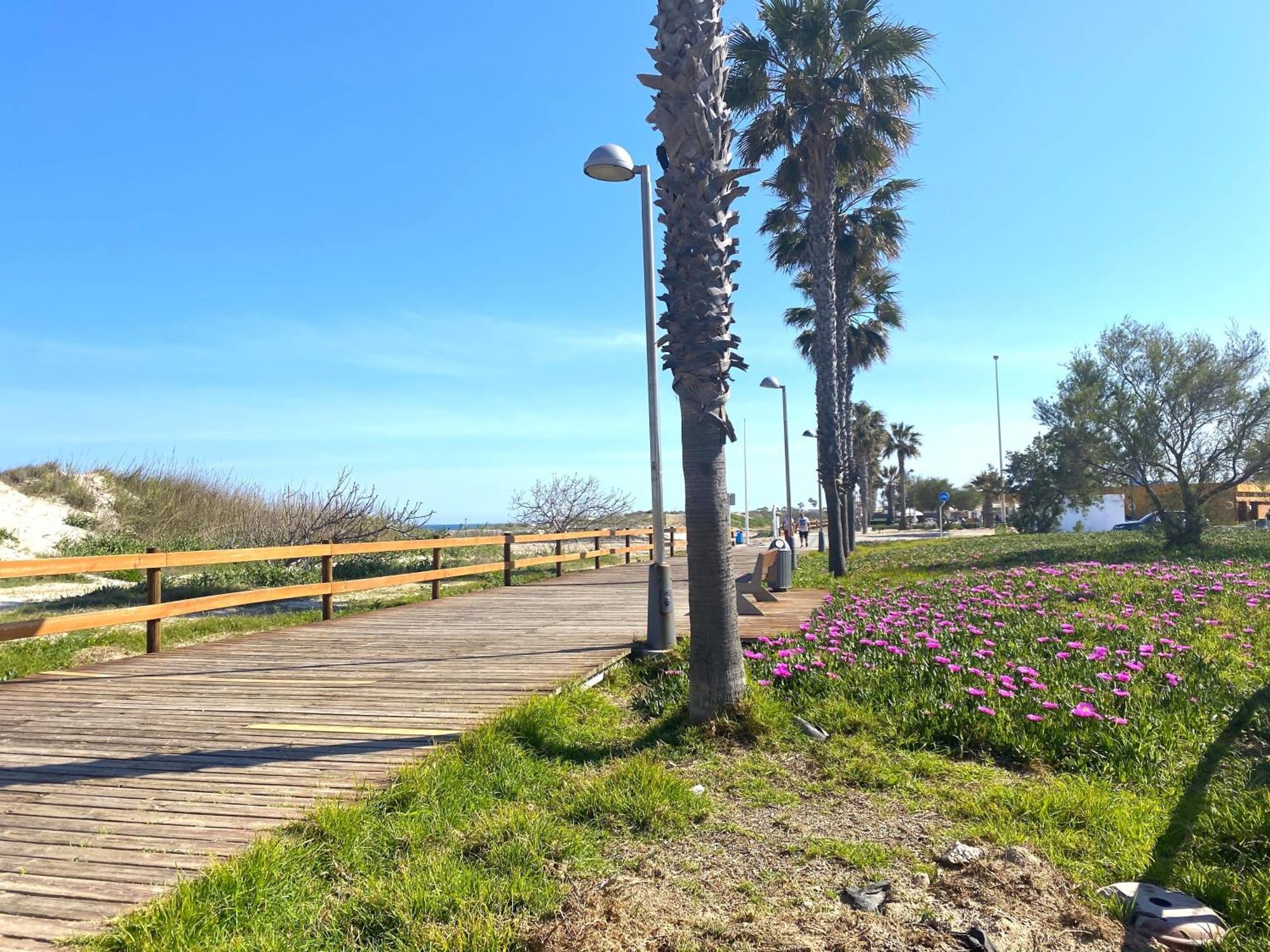Precioso Apartamento A Tan Solo 300 M De La Playa Pilar de la Horadada Exterior foto
